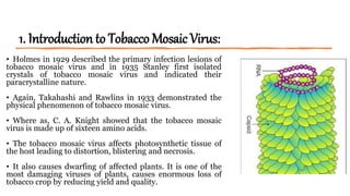 Tobacco mosaic virus