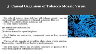 Tobacco mosaic virus