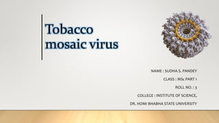 Tobacco
mosaic virus
NAME : SUDHA S. PANDEY
CLASS : MSC PART 1
ROLL NO. : 3
COLLEGE : INSTITUTE OF SCIENCE,
DR. HOMI BHABHA STATE UNIVERSITY
 