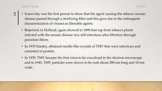 • Ivanovsky was the first person to show that the agent causing the tobacco mosaic
disease passed through a sterilizing filter and this gave rise to the subsequent
characterization of viruses as filterable agents.
• Beijerinck in Holland, again showed in 1898 that sap from tobacco plants
infected with the mosaic disease was still infectious after filtration through
porcelain filters.
• In 1935 Stanley, obtained needle-like crystals of TMV that were infectious and
consisted of protein.
• In 1939, TMV became the first virus to be visualized in the electron microscope
and in 1941, TMV particles were shown to be rods about 280 nm long and 18 nm
wide.
3/31/2021
Sudha S. Pandey
5
 