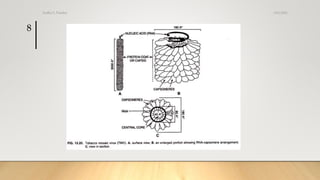 3/31/2021
Sudha S. Pandey
8
 