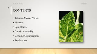Tobacco mosaic virus General Presentation