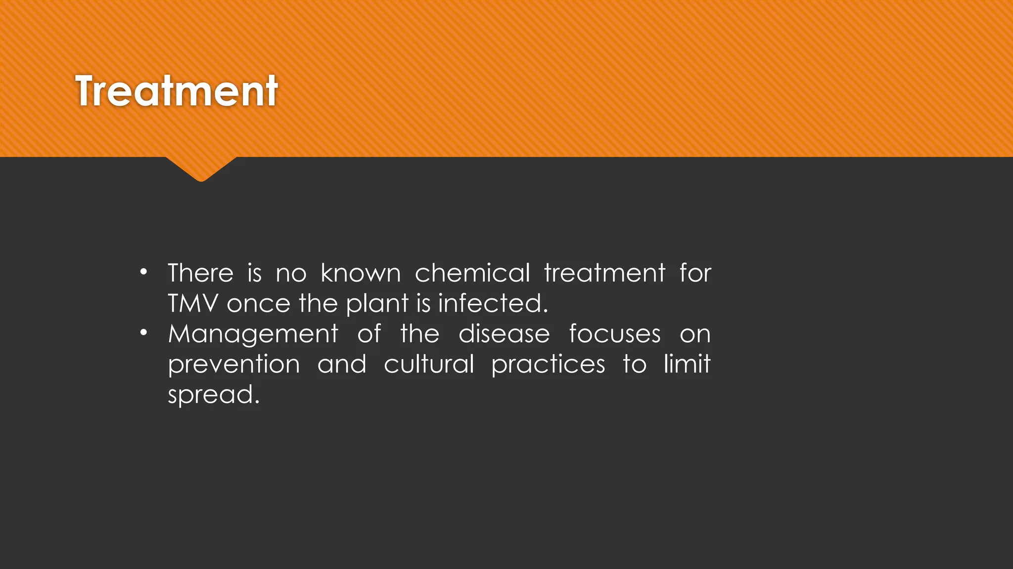 prevention of tobacco mosaic virus | CHILLIHEAD Tobacco mosaic virus (tobacco mosaic)