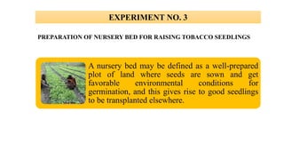 EXPERIMENT NO. 3
PREPARATION OF NURSERY BED FOR RAISING TOBACCO SEEDLINGS
A nursery bed may be defined as a well-prepared
plot of land where seeds are sown and get
favorable environmental conditions for
germination, and this gives rise to good seedlings
to be transplanted elsewhere.
 
