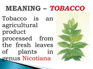 what is the meaning of tobacco TOBACCO NW .pptx
