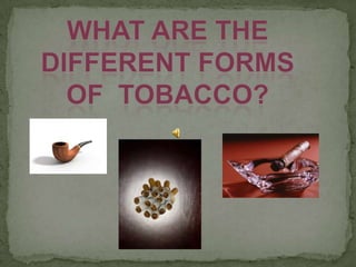 What are the Different formsOf  Tobacco?