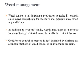 tobacco weed control Herbicides Used in Mixing Cannabis and Tobacco: A