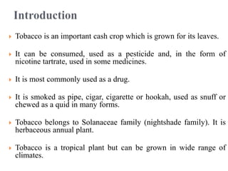  Tobacco is an important cash crop which is grown for its leaves.
 It can be consumed, used as a pesticide and, in the form of
nicotine tartrate, used in some medicines.
 It is most commonly used as a drug.
 It is smoked as pipe, cigar, cigarette or hookah, used as snuff or
chewed as a quid in many forms.
 Tobacco belongs to Solanaceae family (nightshade family). It is
herbaceous annual plant.
 Tobacco is a tropical plant but can be grown in wide range of
climates.
 