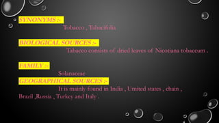 tobacco synonym Tobacco ( pyridine and piperidine alkaloids ).pptx