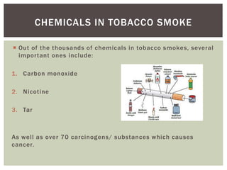 what is heets tobacco Heated Tobacco Products: Philip Morris International