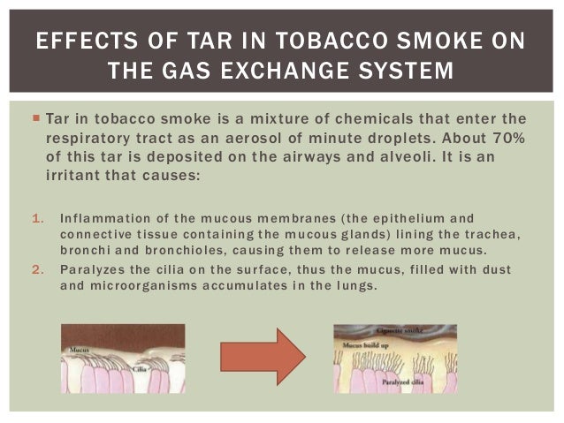 smoking and its effect on society 2013-4-11 there's also little doubt that fewer people smoking is a good thing for society costs related to smoking amount to $193 billion a year in both direct medical payments and lost productivity, according to a centers for disease control studydone during the early part of the last decade smoking kills about 443,000 people each year. smoking and its effect on society 2013-4-11 there's also little doubt that fewer people smoking is a good thing for society costs related to smoking amount to $193 billion a year in both direct medical payments and lost productivity, according to a centers for disease control studydone during the early part of the last decade smoking kills about 443,000 people each year.