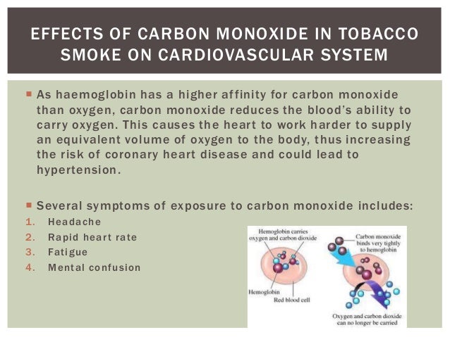 essay on the effect of smoking on gaseous exchange What is its effect on the body long term effects smoking permanently damages the alveoli (air sacs) effects of smoking on the gas exchange system emphysema. essay on the effect of smoking on gaseous exchange What is its effect on the body long term effects smoking permanently damages the alveoli (air sacs) effects of smoking on the gas exchange system emphysema.