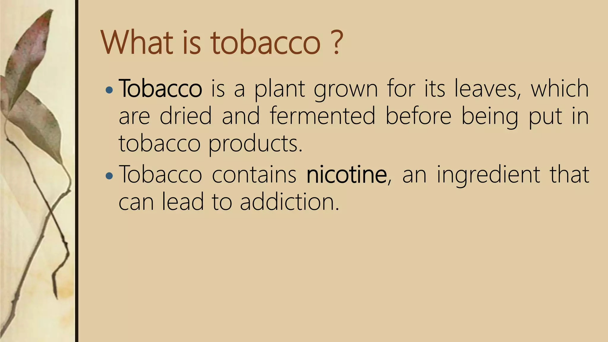 tobacco pain relief Nicotine-induced pain relief is short-term. Over time, smoking may actually  worsen your pain