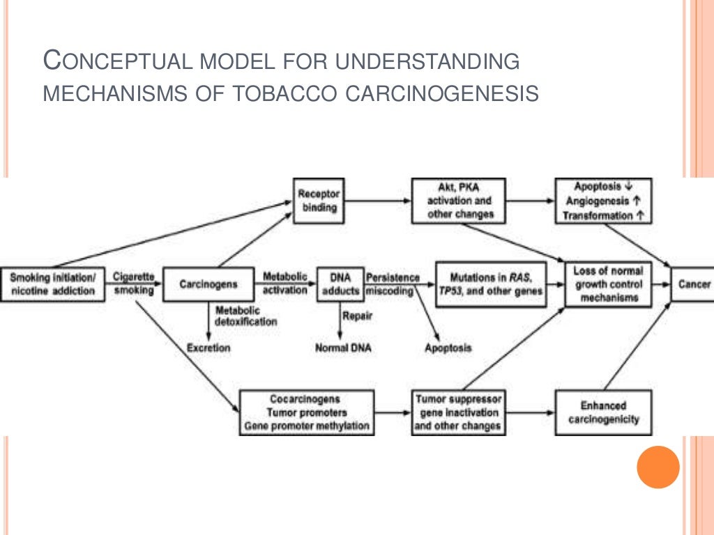Tobacco smoking & oral cancer