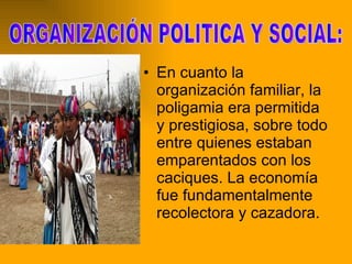 En cuanto la organización familiar, la poligamia era permitida y prestigiosa, sobre todo entre quienes estaban emparentados con los caciques. La economía fue fundamentalmente recolectora y cazadora.  ORGANIZACIÓN POLITICA Y SOCIAL:  