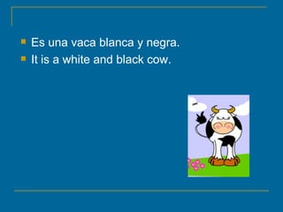 Es una vaca blanca y negra. It is a white and black cow.