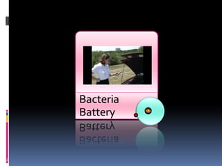 Geobacter sulfurreducens possesses extraordinary capabilities to transport electrons and "reduce" metal ions as part of its energy-generating metabolism. Forget Horsepower, Think Cow-PowerSome of the micro-organisms found in cow waste could provide a reliable source of electricity. 