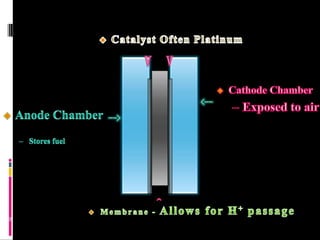  Converts chemical energy, available in a bio-convertible substrate, directly into electricity12