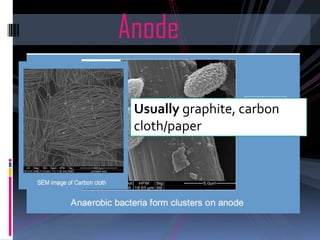 Microbial fuel cellsMicrobial fuel cells may use wastewater as a fuel, or more generally a dilute solution of a variety of organic materials in water. Organic matter is oxidized by bacteria creating an electric potential. 