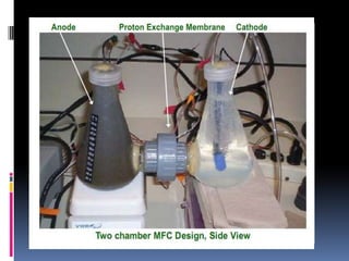 Exposed to air<--Anode Chamber