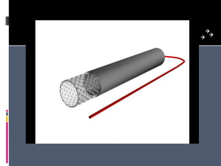 Stores fuel-->^Membrane - Allows for H+ passage18