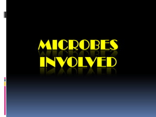 AnodeUsually graphite, carbon cloth/paper