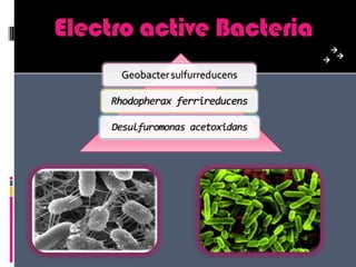 20BiocatalystsProton exchange membraneCathodeCommonly Nafion or Ultrex ; salt bridges also used