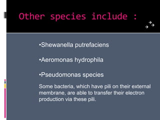 Barrier between anodic and cathodic chambers
