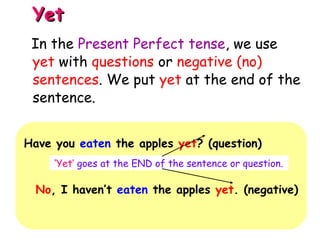YetYet
Have you eaten the apples yet? (question)
‘Yet’ goes at the END of the sentence or question.
No, I haven’t eaten the apples yet. (negative)
In the Present Perfect tense, we use
yet with questions or negative (no)
sentences. We put yet at the end of the
sentence.
 