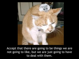 Accept that there are going to be things we are not going to like, but we are just going to have to deal with them.