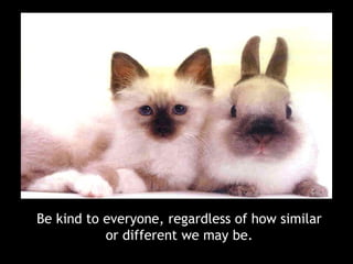 Be kind to everyone, regardless of how similar or different we may be.