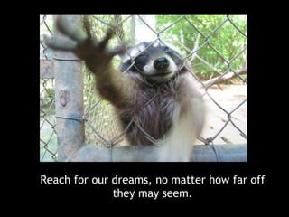 Reach for our dreams, no matter how far off they may seem.