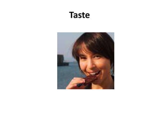 Taste
 