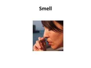 Smell
 