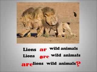 Lions ar
e
wild animals
Lions are wild animals
arelions wild animals?
 