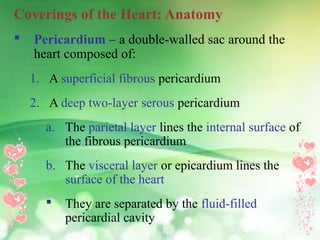 Cardiovascular System | PPT