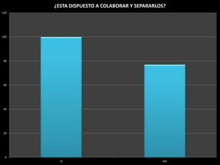 0
20
40
60
80
100
120
SI NO
¿ESTA DISPUESTO A COLABORAR Y SEPARARLOS?
 