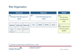 The Role of CRO at Credit Suisee | PDF
