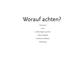Worauf achten?
• Temperatur
• Licht
• Luftfeuchtigkeit (40-60%)
• Platz/ Topfgröße
• Krankheiten (Mehltau)
• Bestäubung
 
