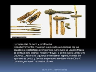 Herramientas de caza y recolección
Estas herramientas muestran los métodos empleados por los
cazadores-recolectores prehistóricos. A menudo se usaban trozos
de corteza para guardar nueces y bayas, o como platos (arriba a la
izquierda). Abajo a la izquierda se muestran reproducciones de
aparejos de pesca y flechas empleados alrededor del 8000 a.C.
Los mangos a) son reconstrucciones.


                          GELVER JOHAN......SEBASTIAN GOMEZ
 
