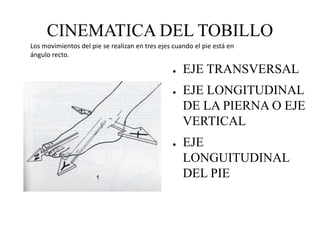 Angulo Tobillo Tobillo biomecanica0000 | PPTX