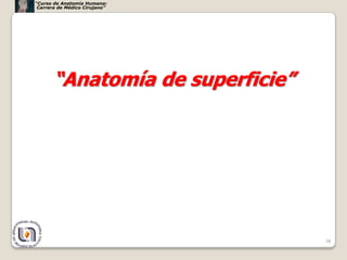 “Curso de Anatomía Humana:
 Carrera de Médico Cirujano”




      “Anatomía de superficie”




                           ...
