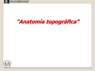“Curso de Anatomía Humana:
 Carrera de Médico Cirujano”




         “Anatomía topográfica”




                          ...