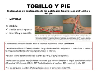 Angulo Tobillo EXPLORACION SEMIOLOGICA DEL TOBILLO Y PIE.pptx