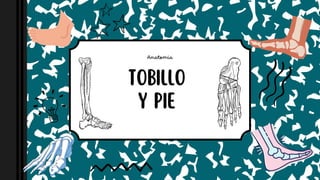 TOBILLO
Y PIE
Anatomia
 