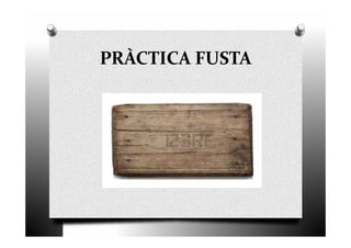 PRÀCTICA FUSTA
 