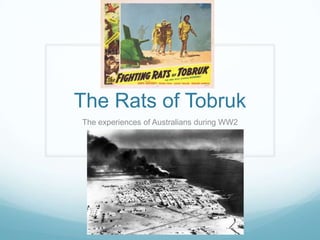 The Rats of Tobruk
The experiences of Australians during WW2

 