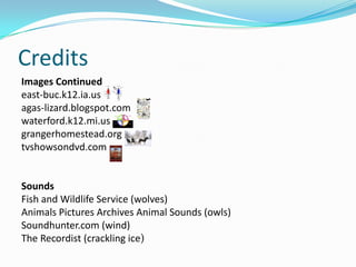 CreditsImages Continuedeast-buc.k12.ia.usagas-lizard.blogspot.comwaterford.k12.mi.usgrangerhomestead.orgtvshowsondvd.comSoundsFish and Wildlife Service (wolves)Animals Pictures Archives Animal Sounds (owls)Soundhunter.com (wind)The Recordist (crackling ice)
