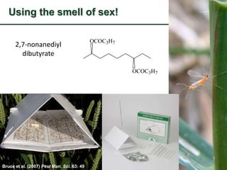 Toby Insect Toby bruce applications of understanding insect chemical ecology -2017 ...