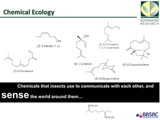 Toby Insect Toby bruce applications of understanding insect chemical ecology -2017 ...
